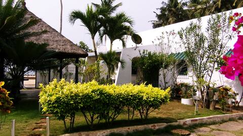 Ama Beach