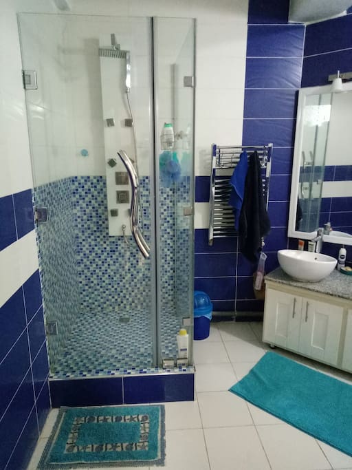 salle de bain, avec baignoire et douche