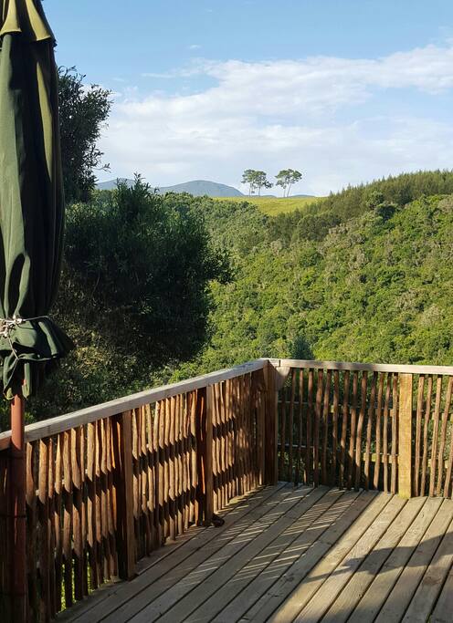 View from the deck at Tree House