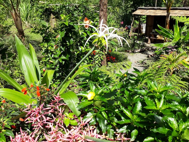Airbnb Dominica Ferienwohnungen Unterkunfte