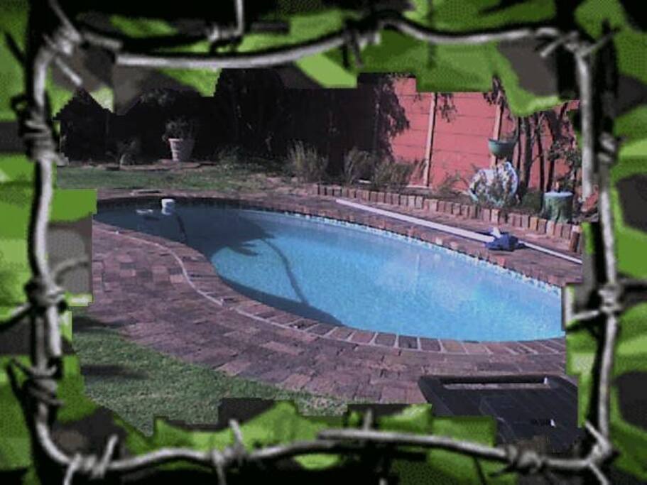 SUNNY POOL
