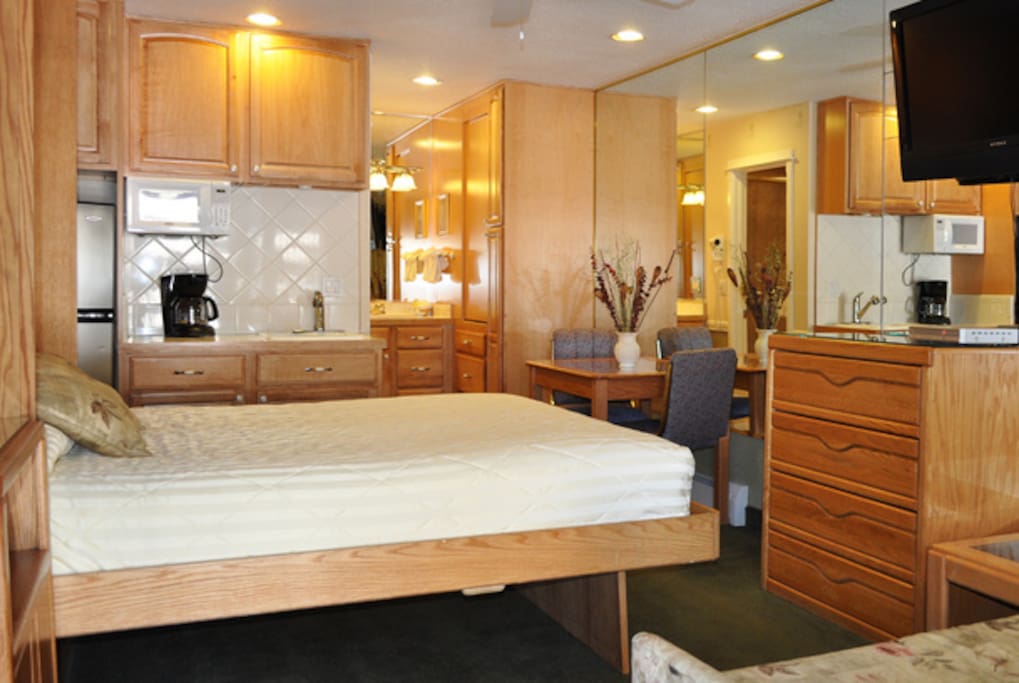Studio with Murphy Bed down
