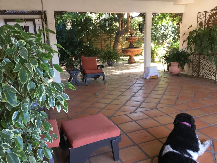 Shared patio with the house