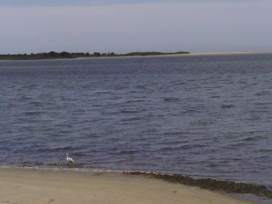 Walk past 1 house to this beach.