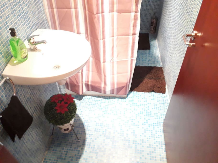 Bathroom with shower, Wc and sink