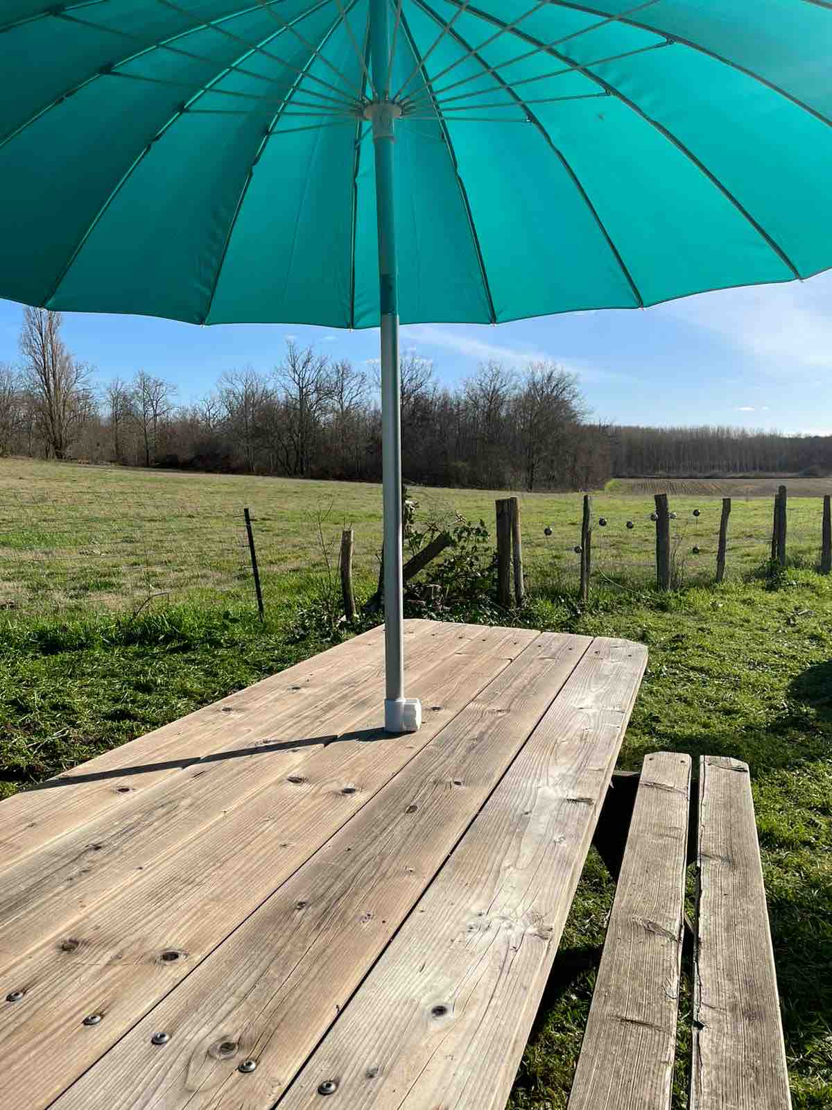 A wooden table is set on a grassy area, accompanied by a large teal umbrella for shade. The surrounding landscape features an open field with a line of trees in the background, enhancing the peaceful countryside setting.