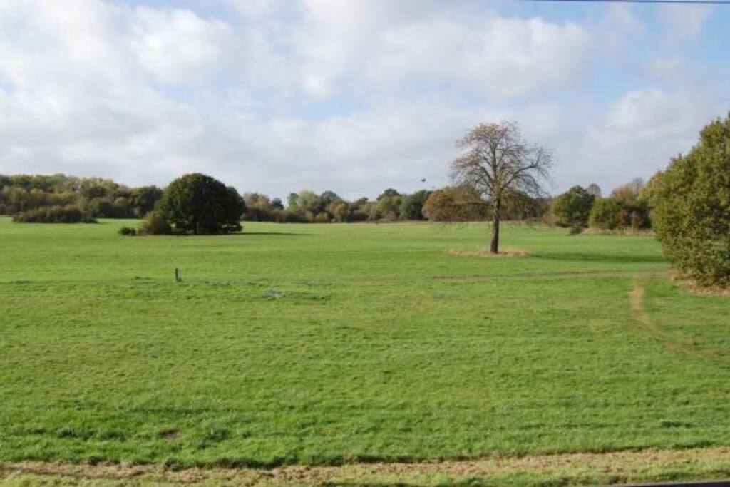 View over Harpenden Common from the front door