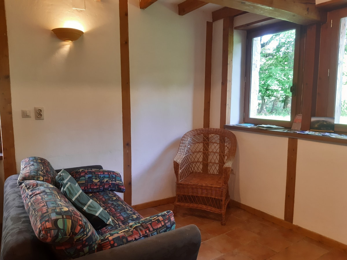 Zona de estar.  El sofá es convertible. 