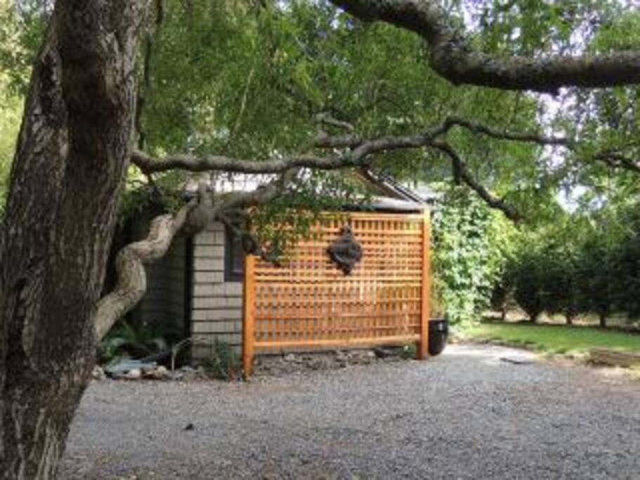 Willow Cottage