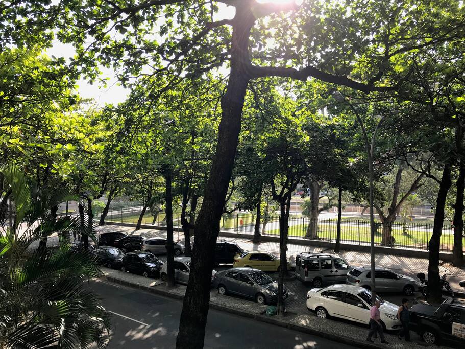 Essa é a nossa rua, super tranquila e arborizada