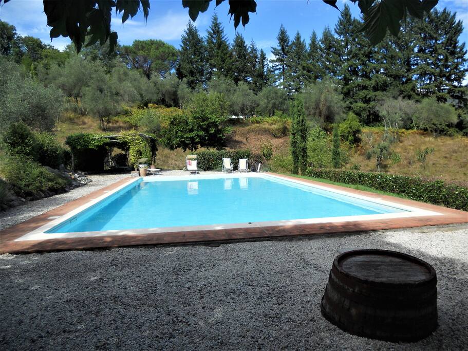Pool with plenty of shaded areas