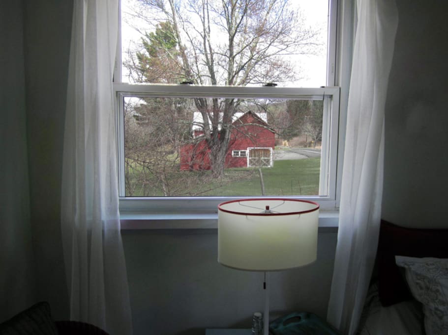 View from the bedroom window