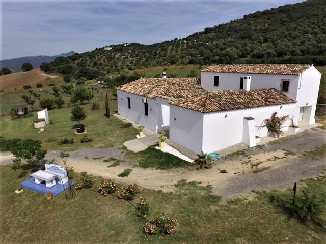 Oil mill Hacienda la Molina