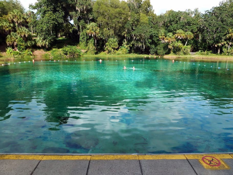 Go swimming at the Rainbow Springs State Park's pool, so breathtaking! It's cool and refreshing, and some say it has healing effects!