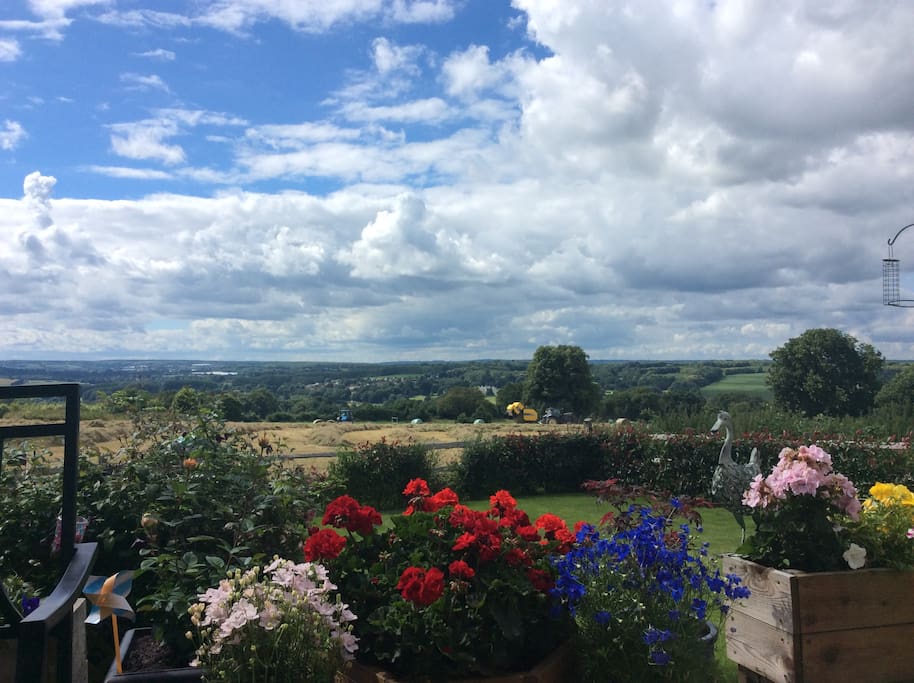 This is the view from the garden patio