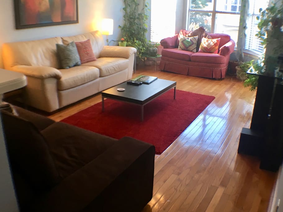Living area with ample of natural light.