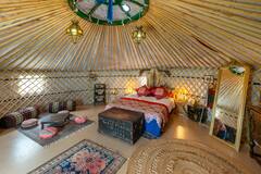 Family+friendly+Yurt%2C+South+Downs+National+Park