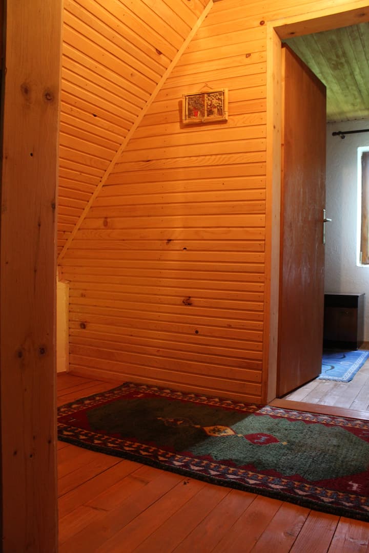 Habitación 2