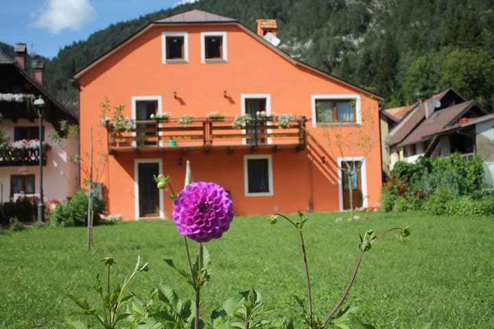 Airbnb Untervellach Vacation Rentals Places To Stay