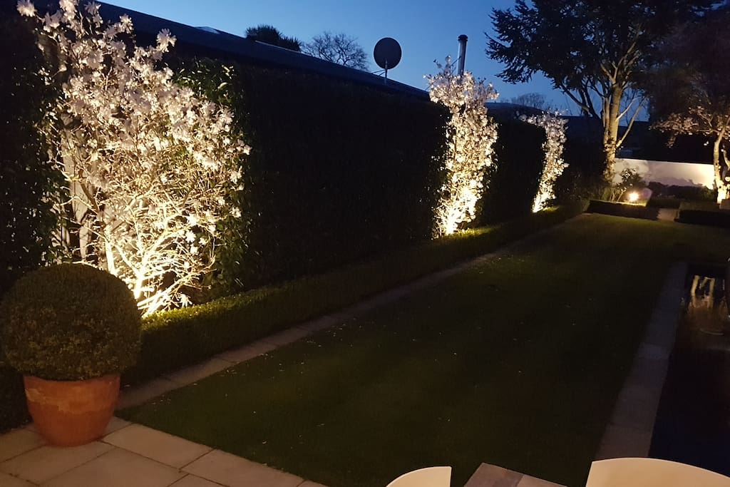Exterior lights on garden