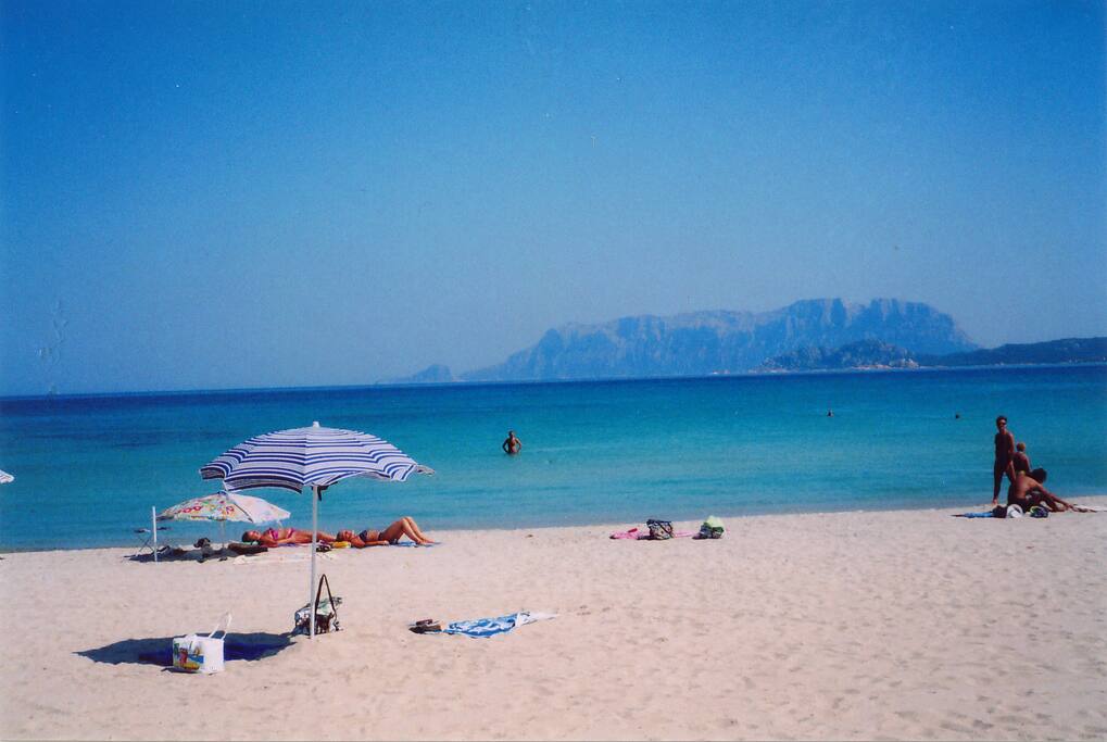 Der lange Sandstrand von Pittulongu