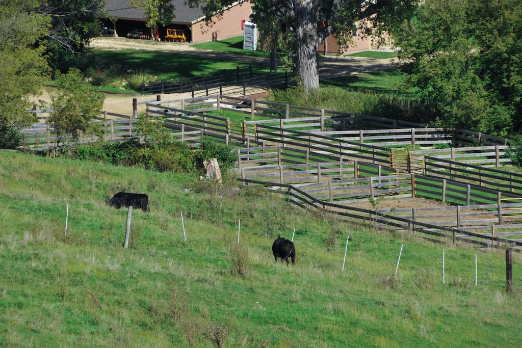 Hillside view