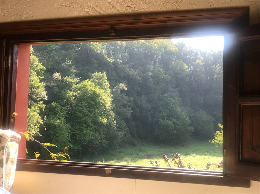 VISTA DESDE LA CAMA