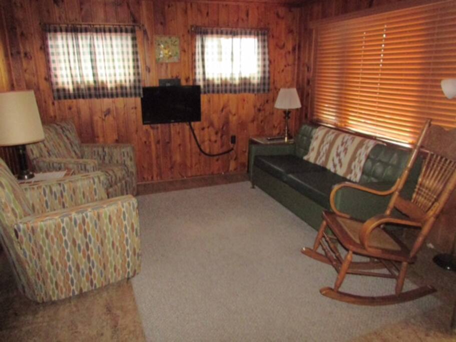 New flat screen TVs and pull out sofa