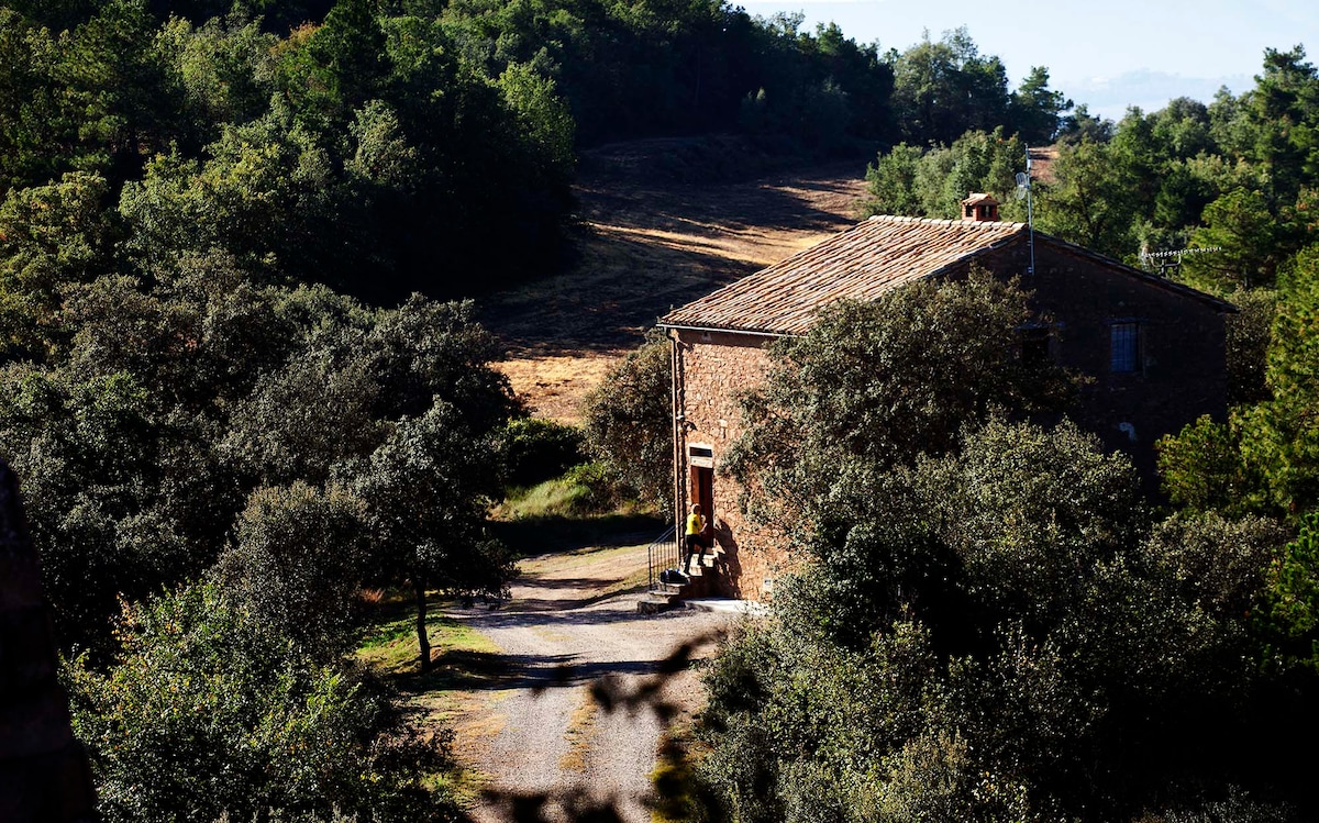 The exterior of a rustic stone house is framed by lush greenery and trees, creating a serene setting. A gravel path leads to the entrance, while a gentle slope in the landscape can be seen in the background, adorned with scattered trees and open spaces.