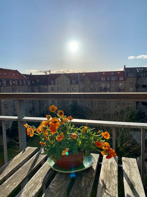 Penthouse apartment with balcony on beautiful Frederiksbjerg