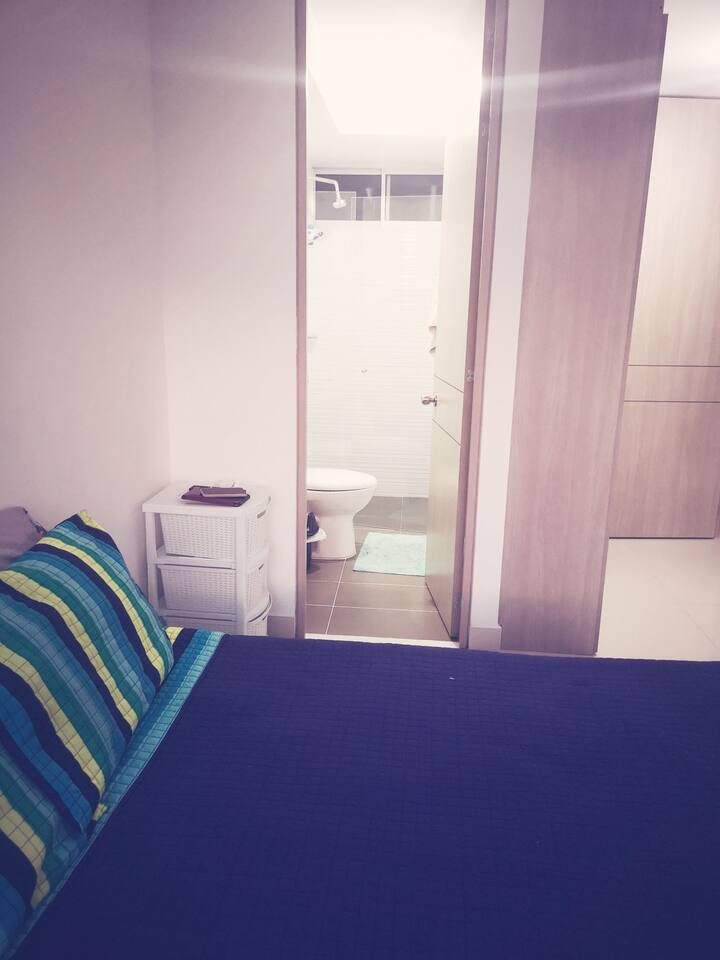 الغرفة الرئيسية 