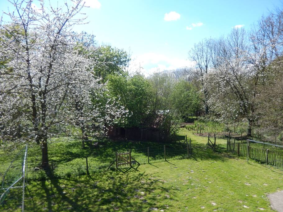 Zicht op tuin