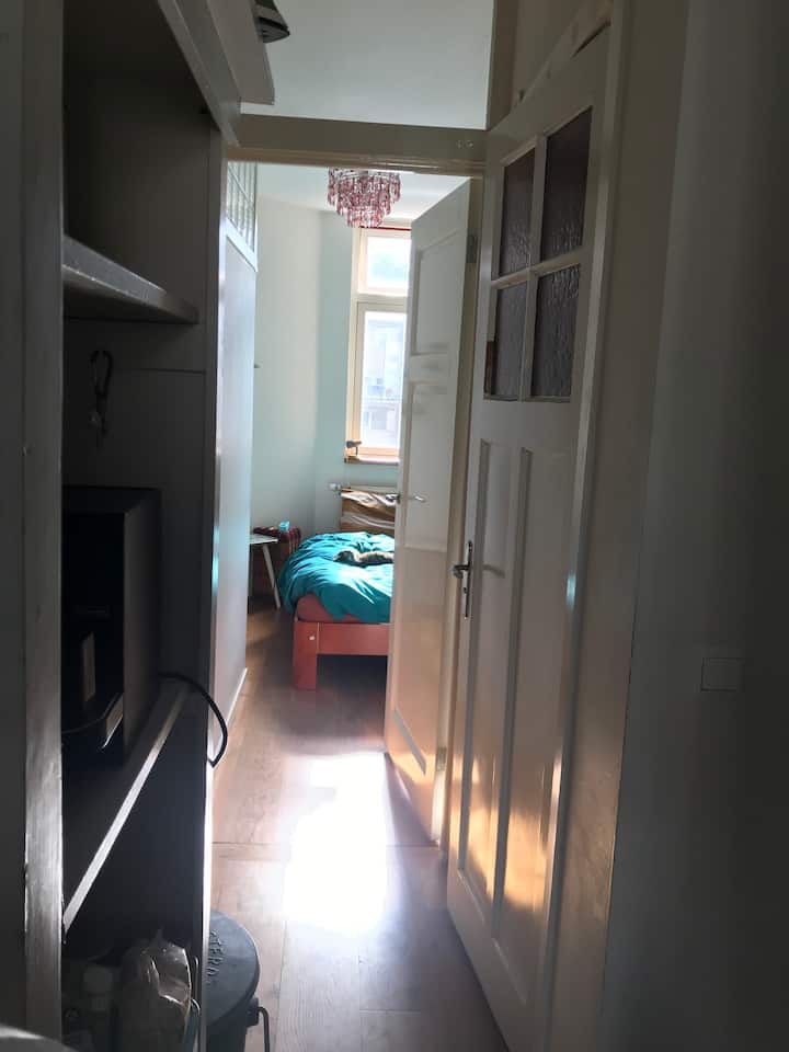 Casa Vrolik, Amsterdam, Oosterparkbuurt BnB 2pp.