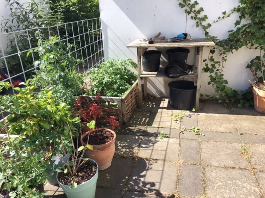 Én af vores terrassser