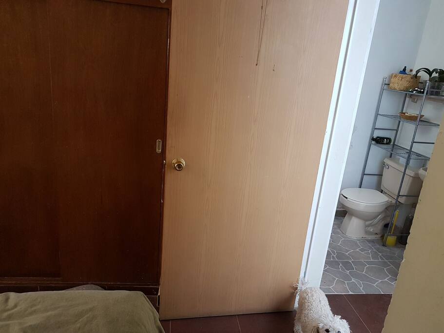 closet amplio y baño junto a la recamara