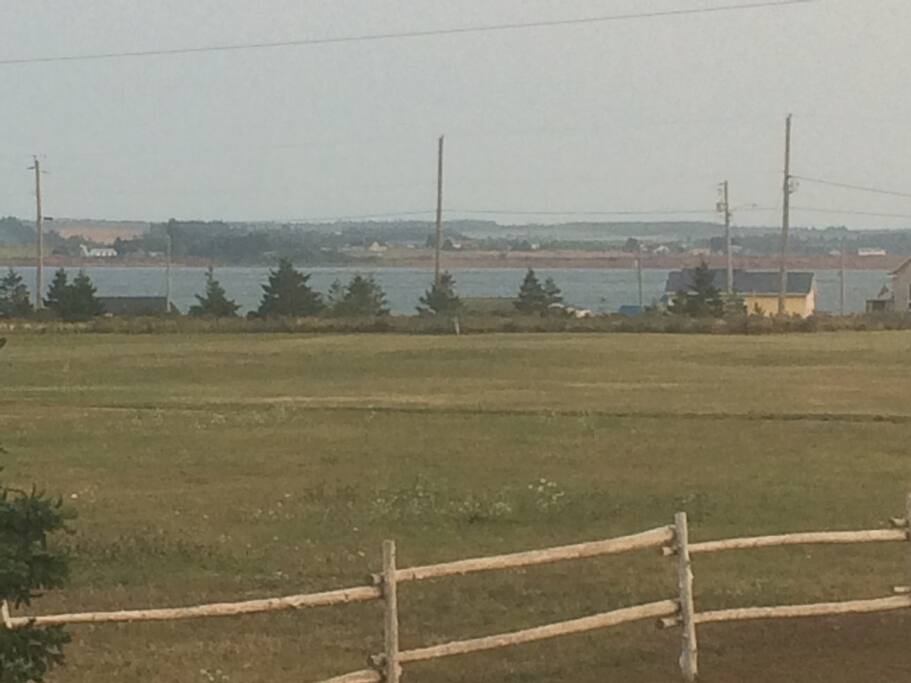View from the back deck