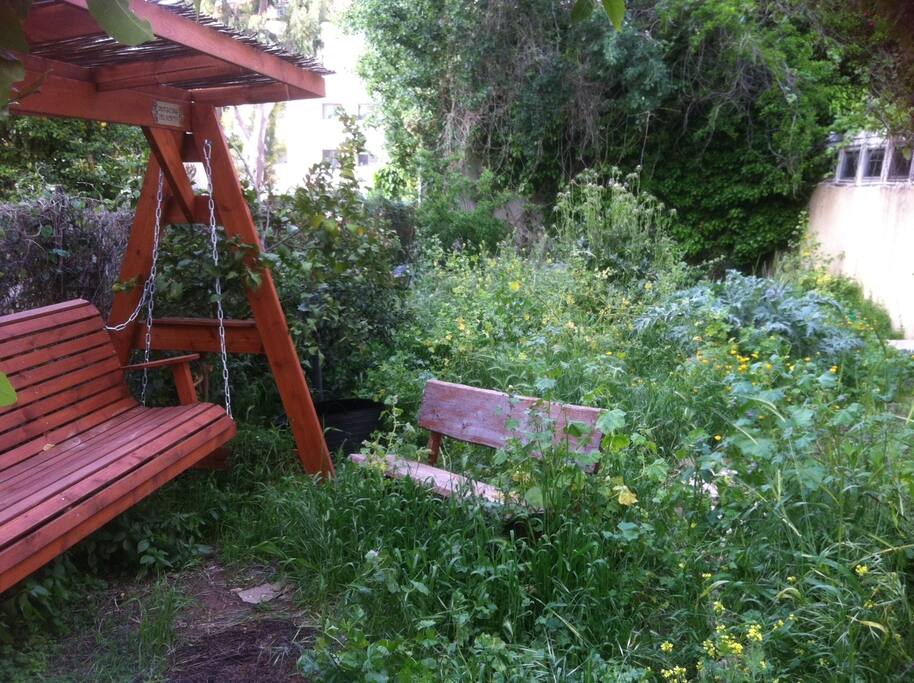 Garden on ground floor with swinging bench and other seating
