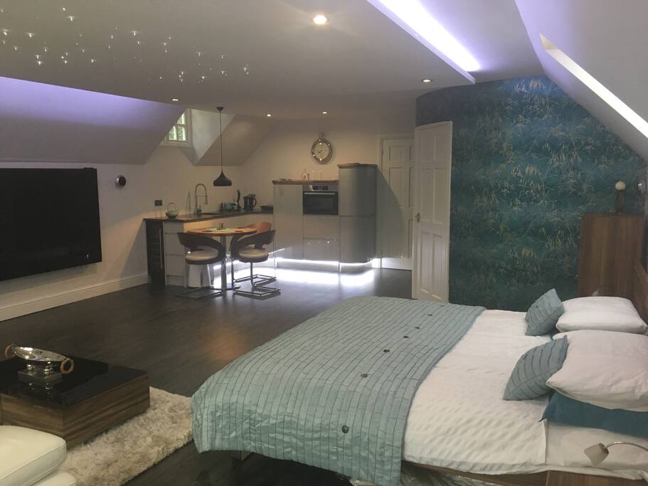 Bedroom with kitchenette seen in the corner