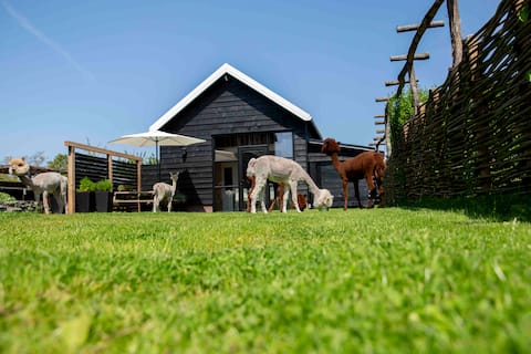 Studio at alpacafarm (AlpaCasa)