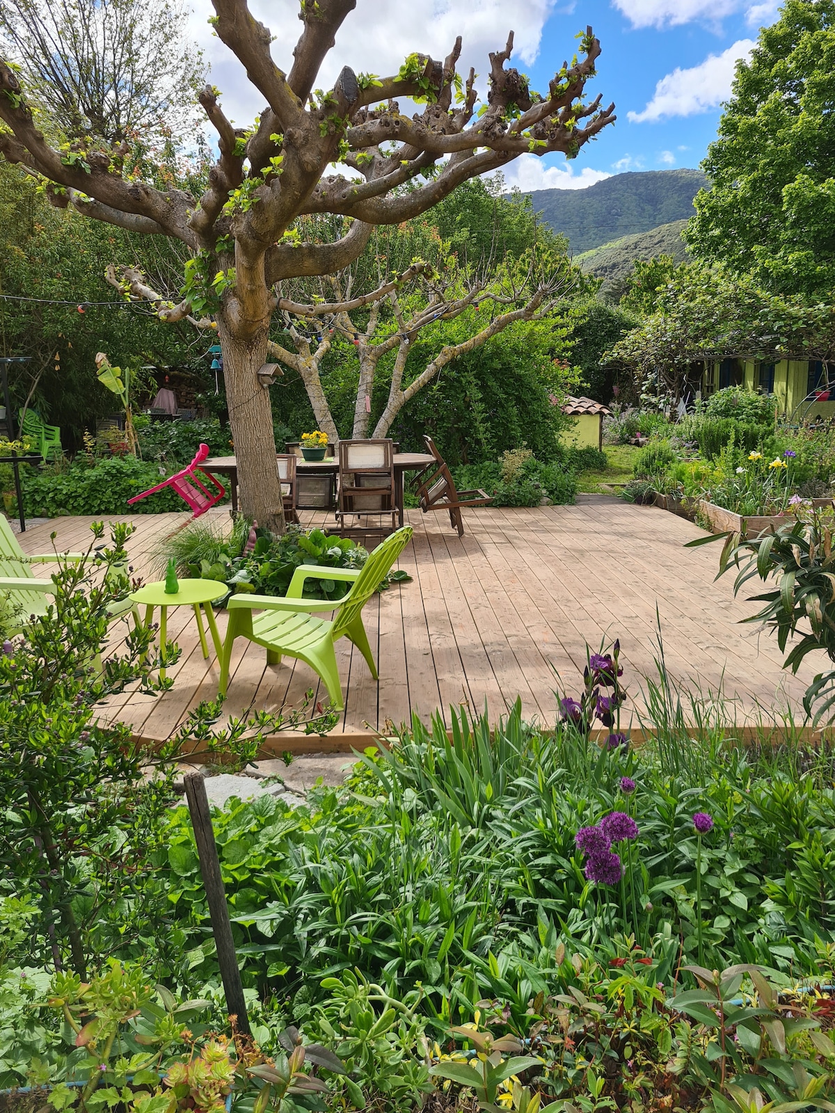 A tranquil garden area features wooden decking surrounded by greenery and blooming flowers. A set of chairs and a table provide a cozy seating option among landscaped plants. Trees with bare branches enhance the peaceful atmosphere, complemented by distant mountains in the background.