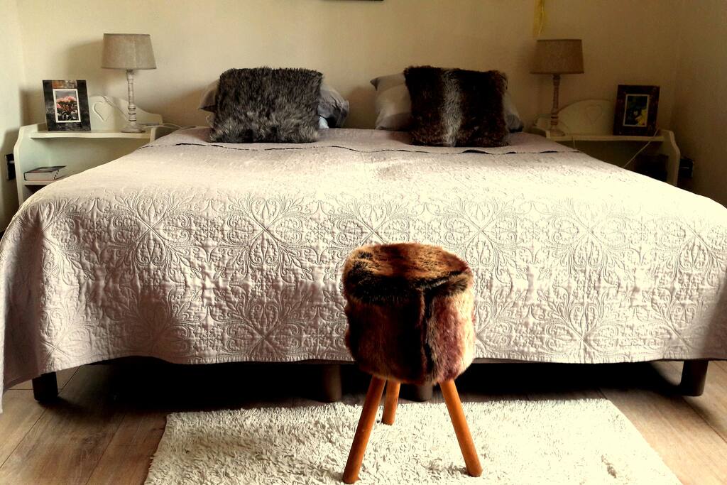 Room Nature