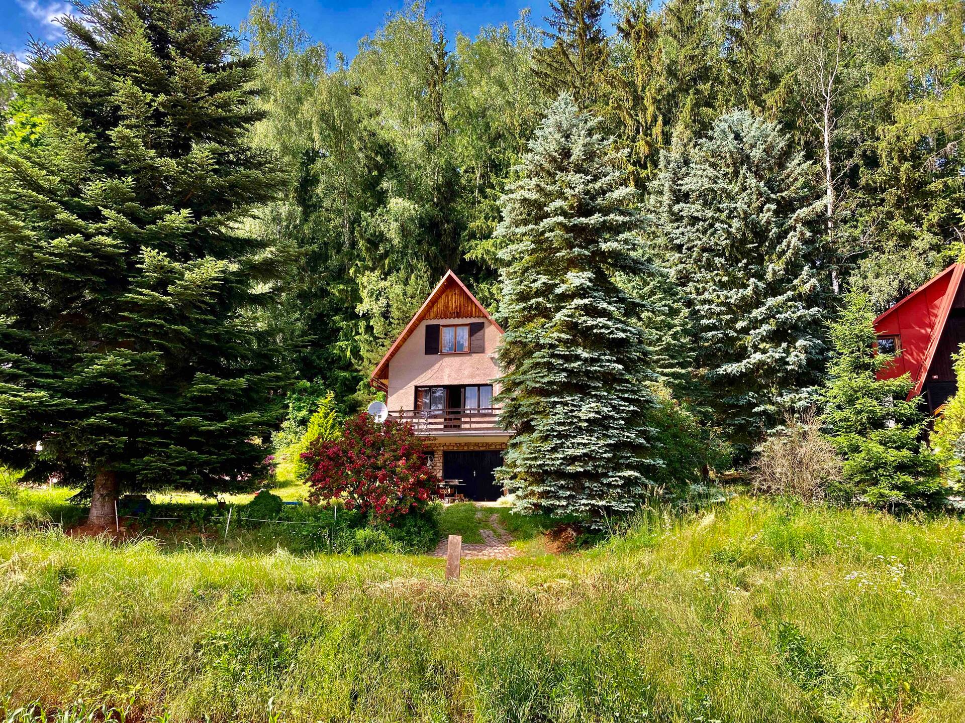 Mountain cabin, fireplace, kitchen, TV, PS4, swimming pool, Jacuzzi