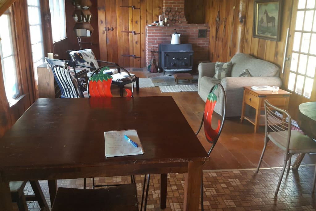 The Rowdy Room perfect for cool Michigan nights. Pull out bed and single futon chair.