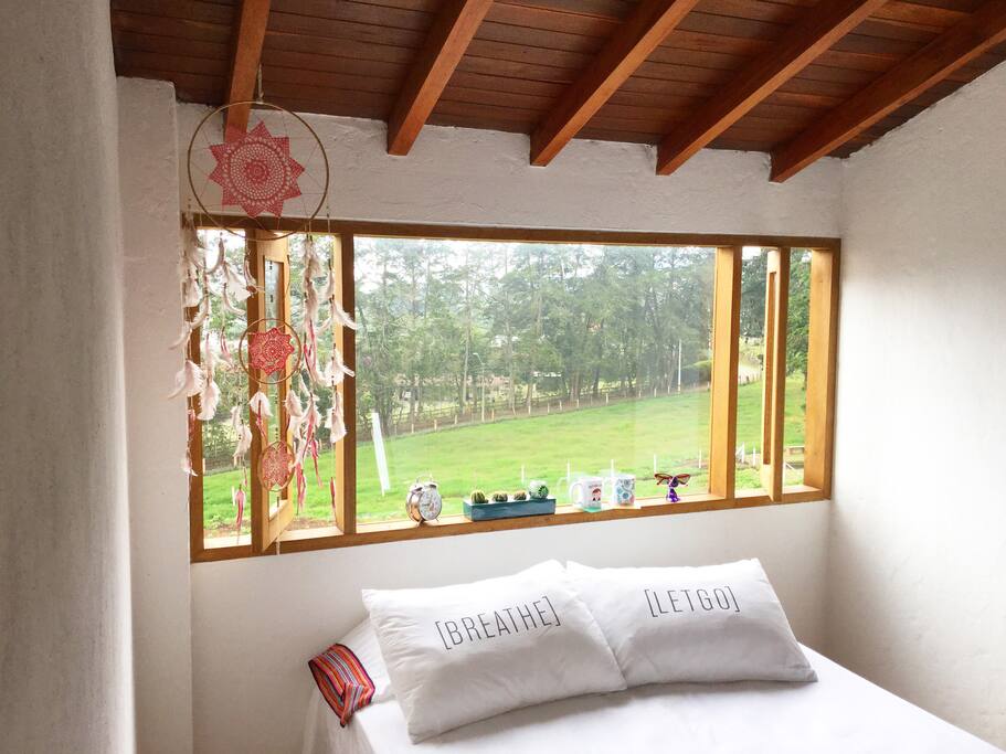 Aquí Despertaras todos los días.