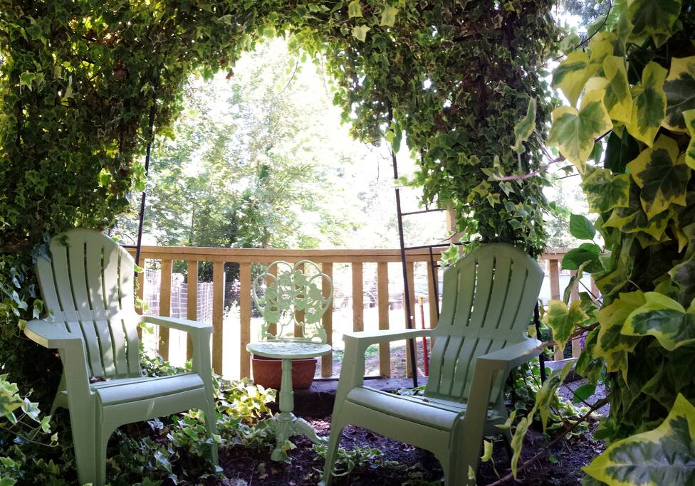 Back patio area.