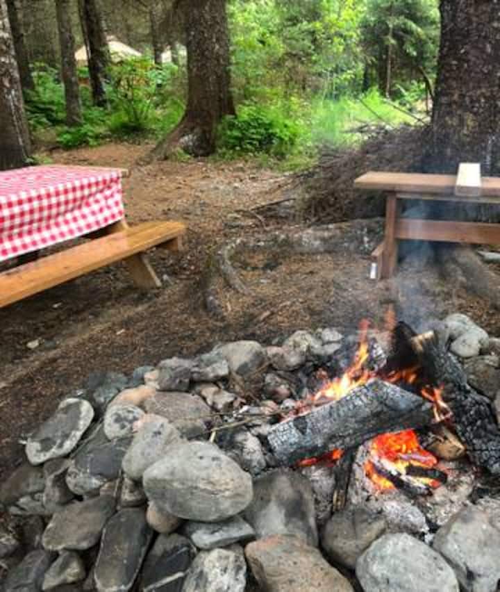 9 Best Yurts In Seward, Alaska Updated 2024 Trip101