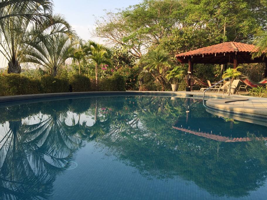 poolside, by day or under the night stars
