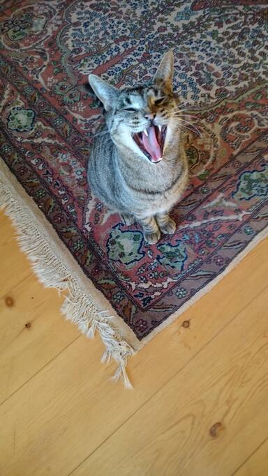 Herzlich willkommen. Welcome at home! Der Gast ist König!