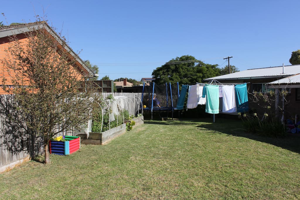 Backyard with veggie garden