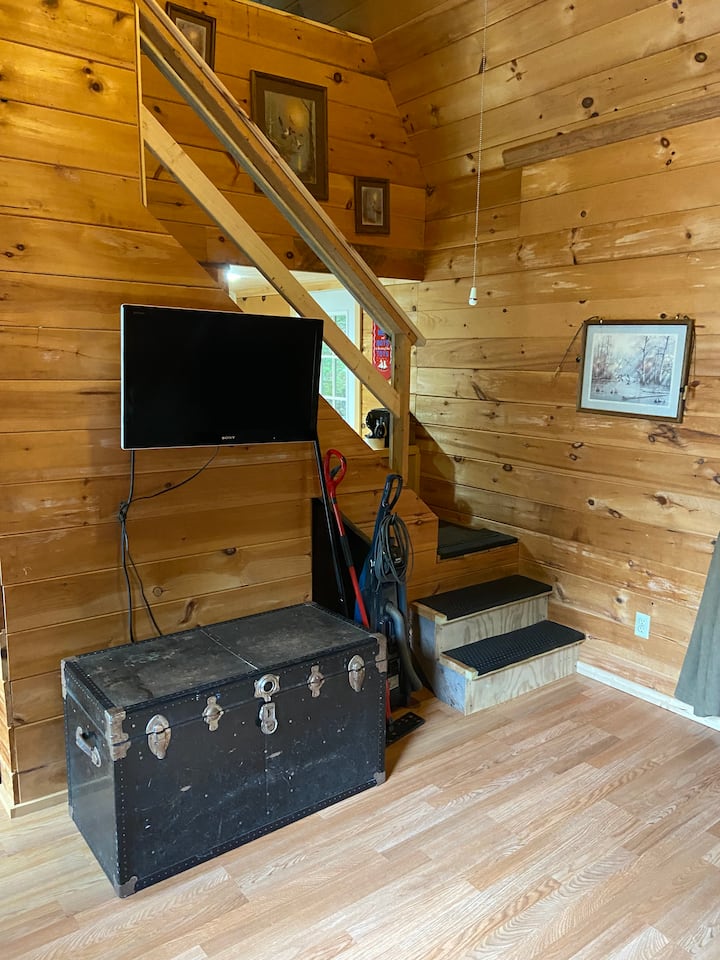 TV